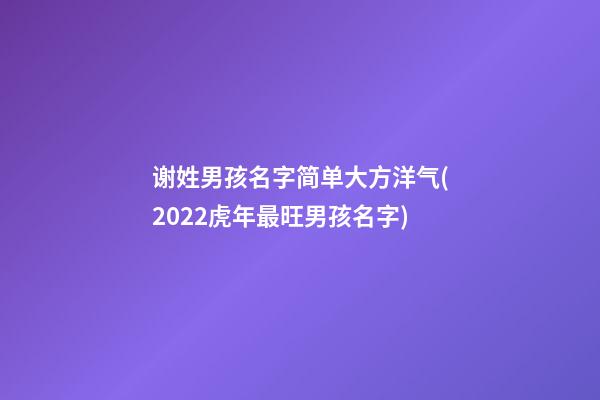 谢姓男孩名字简单大方洋气(2022虎年最旺男孩名字)