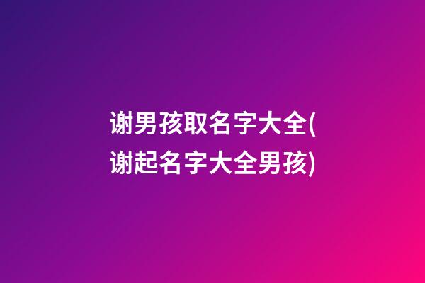 谢男孩取名字大全(谢起名字大全男孩)