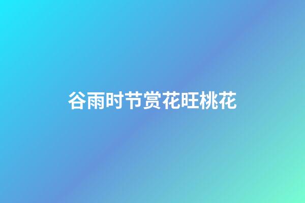 谷雨时节赏花旺桃花