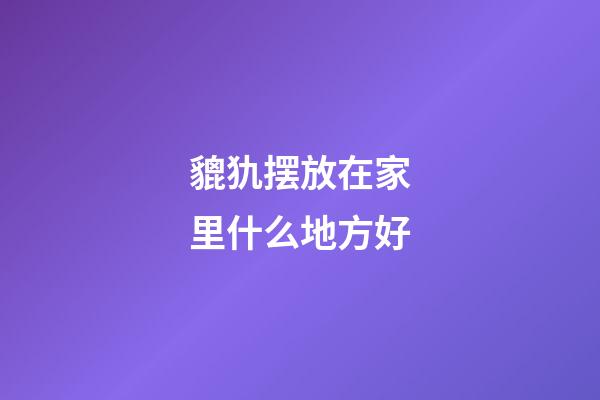 貔犰摆放在家里什么地方好