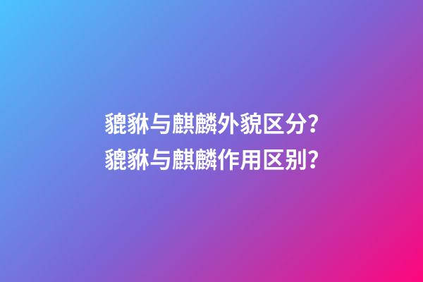 貔貅与麒麟外貌区分？貔貅与麒麟作用区别？