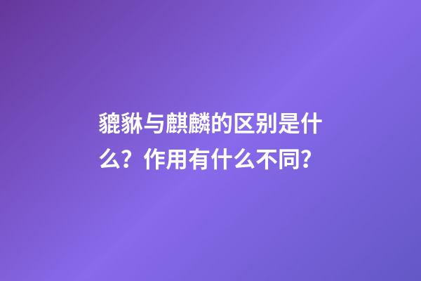 貔貅与麒麟的区别是什么？作用有什么不同？