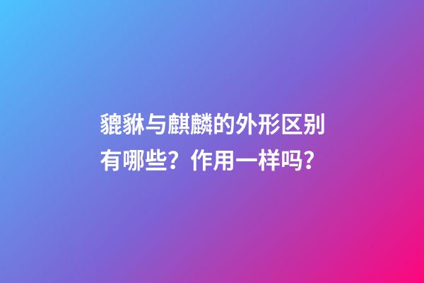 貔貅与麒麟的外形区别有哪些？作用一样吗？