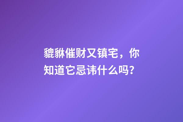 貔貅催财又镇宅，你知道它忌讳什么吗？