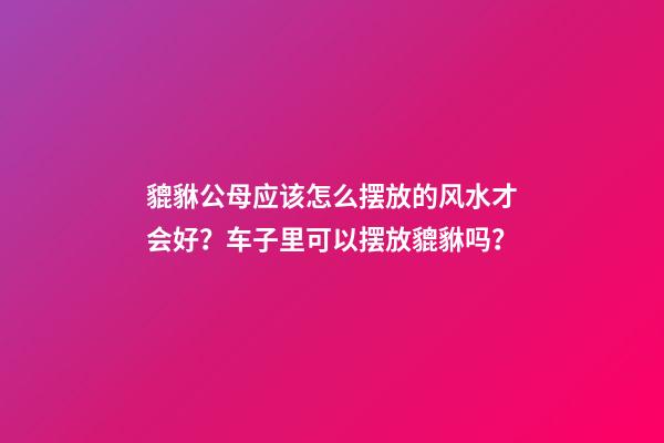 貔貅公母应该怎么摆放的风水才会好？车子里可以摆放貔貅吗？