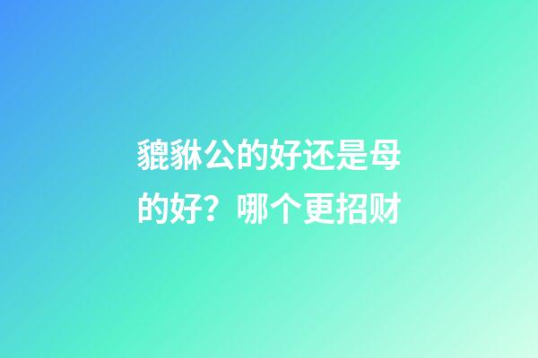 貔貅公的好还是母的好？哪个更招财