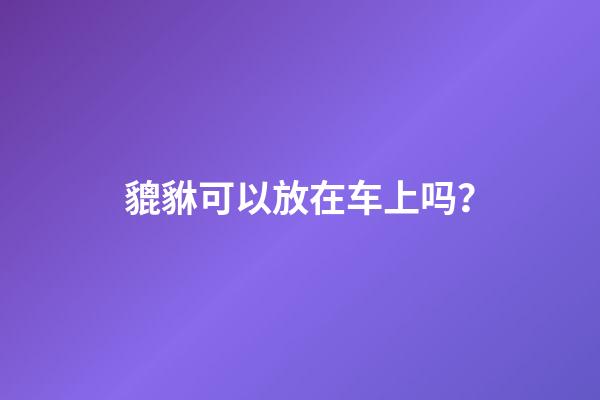 貔貅可以放在车上吗？