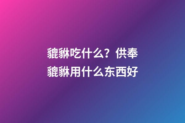 貔貅吃什么？供奉貔貅用什么东西好