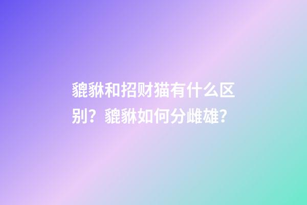 貔貅和招财猫有什么区别？貔貅如何分雌雄？