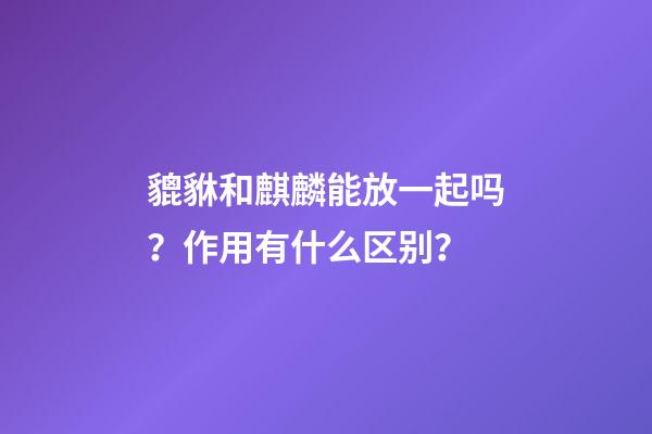 貔貅和麒麟能放一起吗？作用有什么区别？