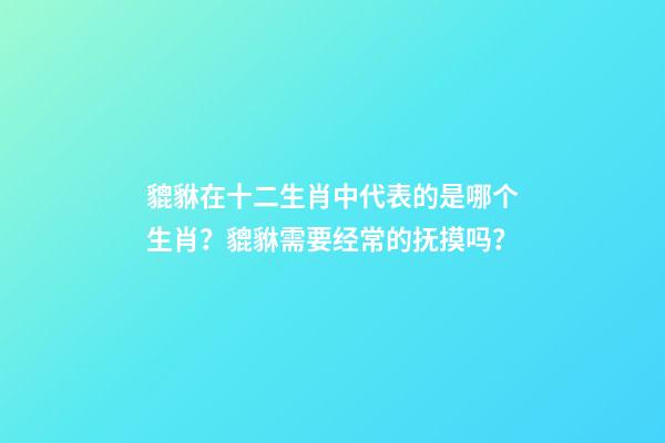貔貅在十二生肖中代表的是哪个生肖？貔貅需要经常的抚摸吗？
