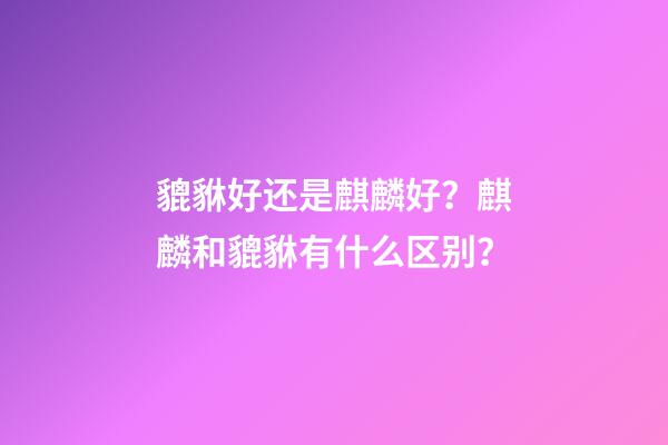 貔貅好还是麒麟好？麒麟和貔貅有什么区别？