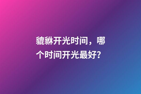 貔貅开光时间，哪个时间开光最好？