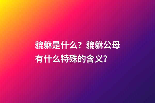 貔貅是什么？貔貅公母有什么特殊的含义？