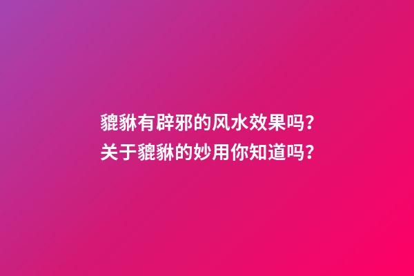貔貅有辟邪的风水效果吗？关于貔貅的妙用你知道吗？