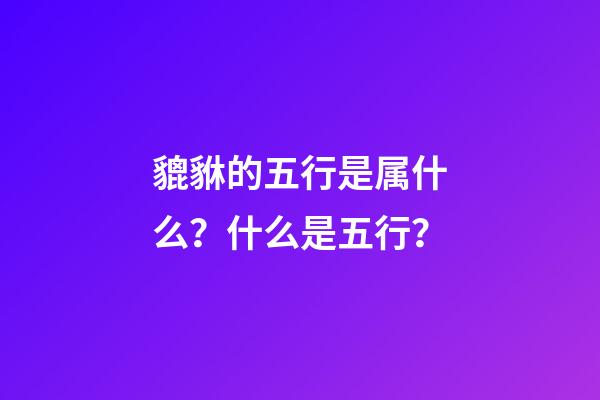 貔貅的五行是属什么？什么是五行？