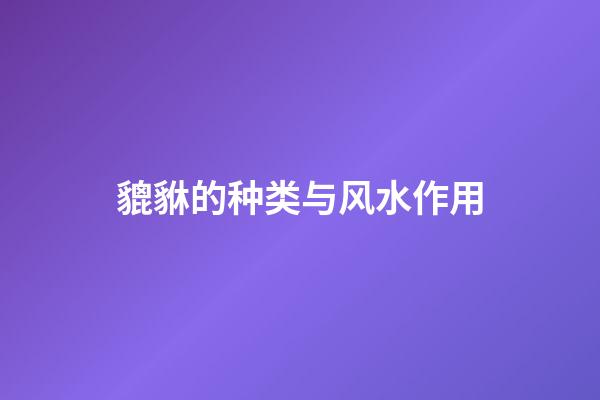 貔貅的种类与风水作用