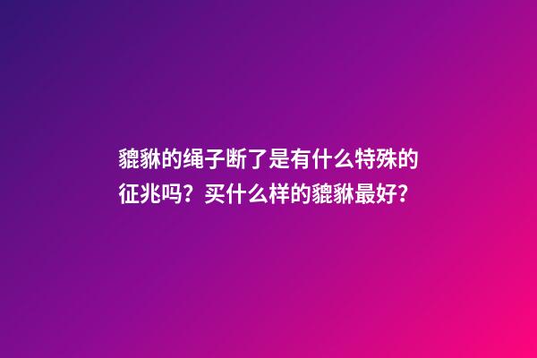 貔貅的绳子断了是有什么特殊的征兆吗？买什么样的貔貅最好？
