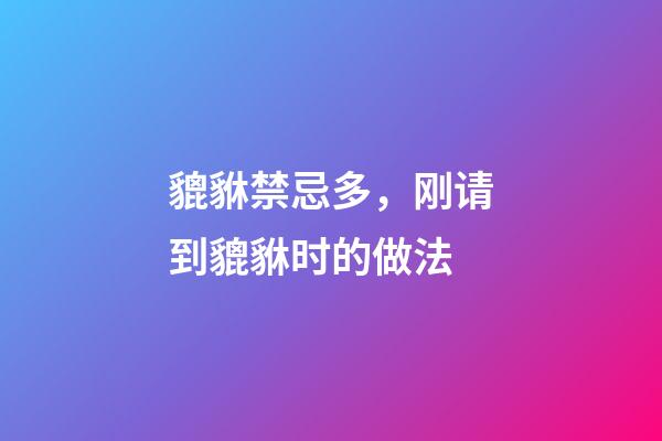 貔貅禁忌多，刚请到貔貅时的做法