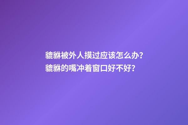 貔貅被外人摸过应该怎么办？貔貅的嘴冲着窗口好不好？