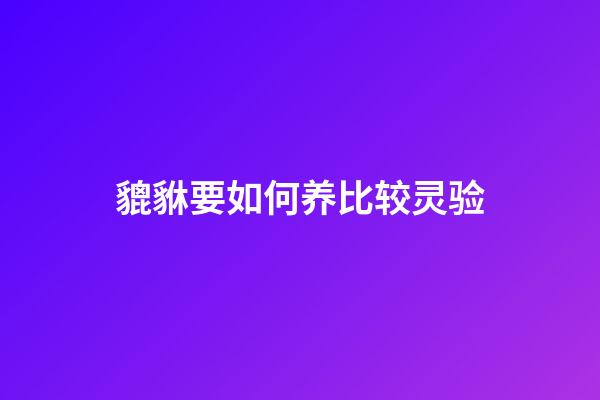 貔貅要如何养比较灵验