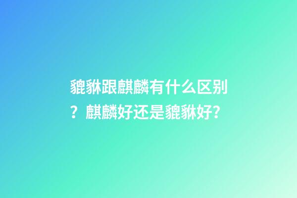 貔貅跟麒麟有什么区别？麒麟好还是貔貅好？