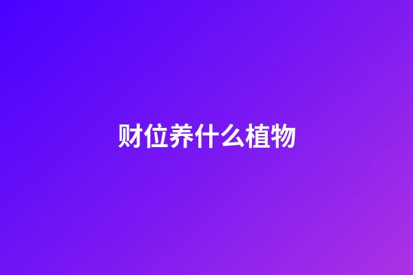 财位养什么植物