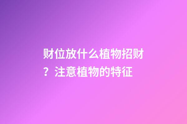 财位放什么植物招财？注意植物的特征