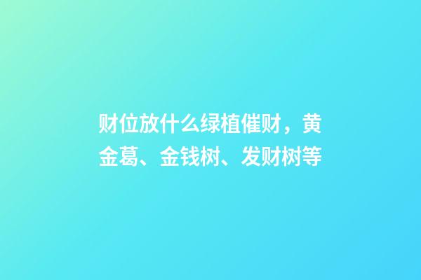 财位放什么绿植催财，黄金葛、金钱树、发财树等