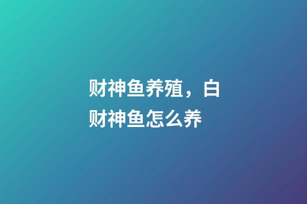 财神鱼养殖，白财神鱼怎么养