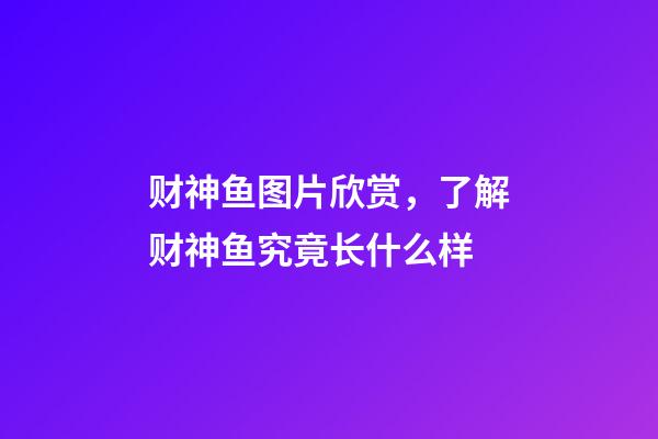 财神鱼图片欣赏，了解财神鱼究竟长什么样