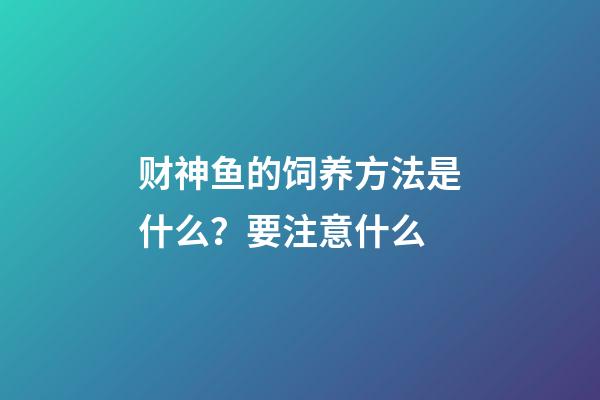 财神鱼的饲养方法是什么？要注意什么