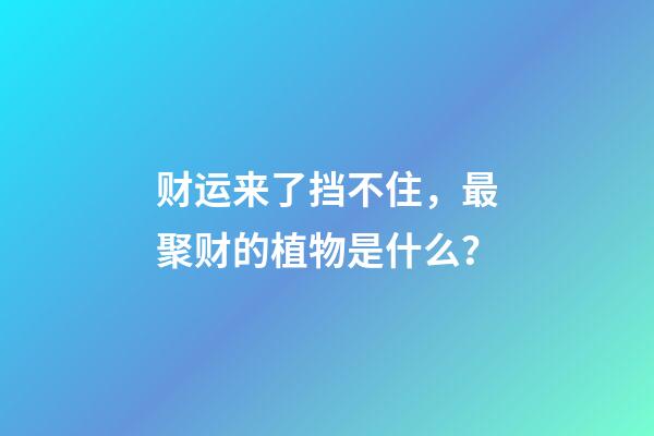 财运来了挡不住，最聚财的植物是什么？