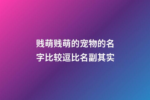 贱萌贱萌的宠物的名字比较逗比名副其实