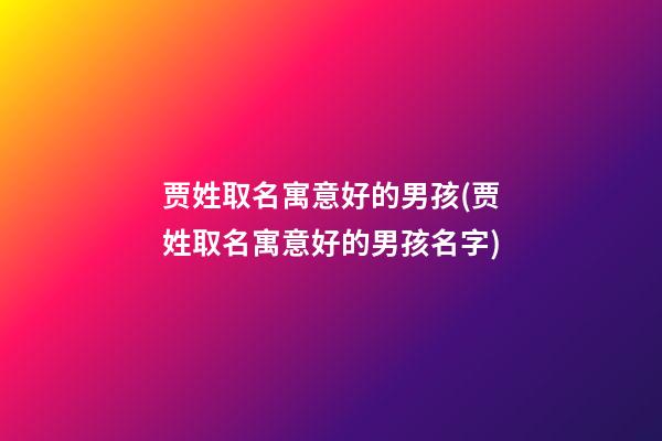 贾姓取名寓意好的男孩(贾姓取名寓意好的男孩名字)