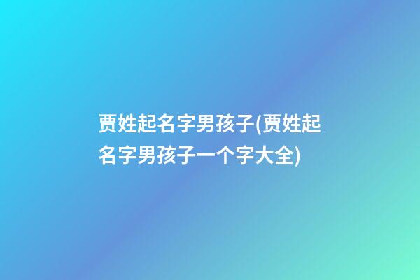 贾姓起名字男孩子(贾姓起名字男孩子一个字大全)