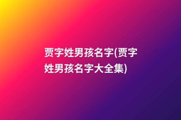 贾字姓男孩名字(贾字姓男孩名字大全集)
