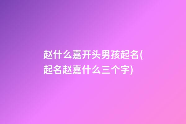 赵什么嘉开头男孩起名(起名赵嘉什么三个字)