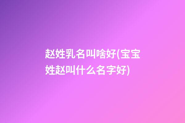 赵姓乳名叫啥好(宝宝姓赵叫什么名字好)