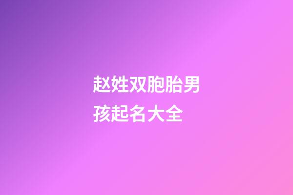 赵姓双胞胎男孩起名大全