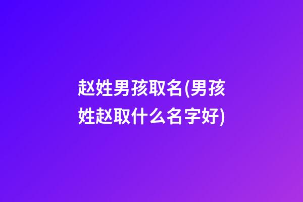 赵姓男孩取名(男孩姓赵取什么名字好)