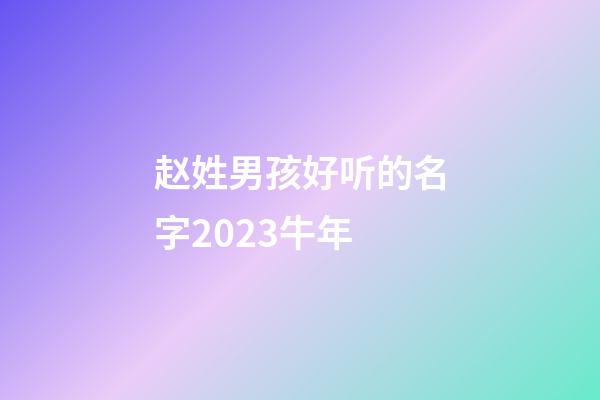 赵姓男孩好听的名字2023牛年