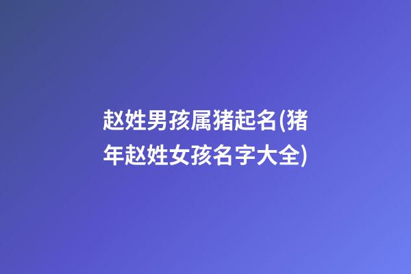 赵姓男孩属猪起名(猪年赵姓女孩名字大全)