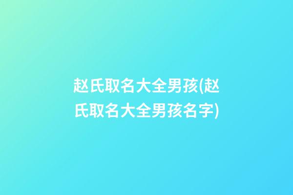 赵氏取名大全男孩(赵氏取名大全男孩名字)