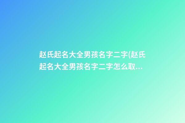 赵氏起名大全男孩名字二字(赵氏起名大全男孩名字二字怎么取)