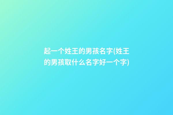 起一个姓王的男孩名字(姓王的男孩取什么名字好一个字)