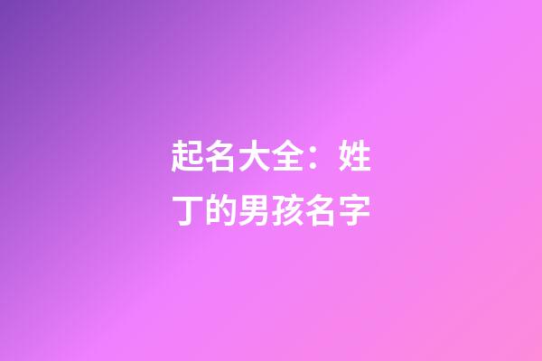 起名大全：姓丁的男孩名字