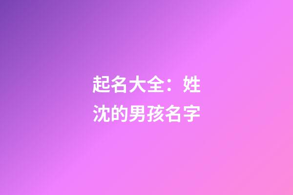 起名大全：姓沈的男孩名字