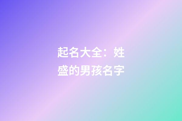 起名大全：姓盛的男孩名字