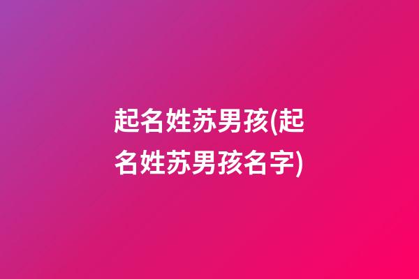 起名姓苏男孩(起名姓苏男孩名字)